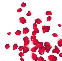 Rose Petals