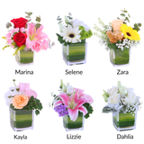 Blosmon Mini Table Centerpieces