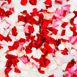 Rose Petals