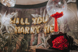 Proposal Package Dazzling